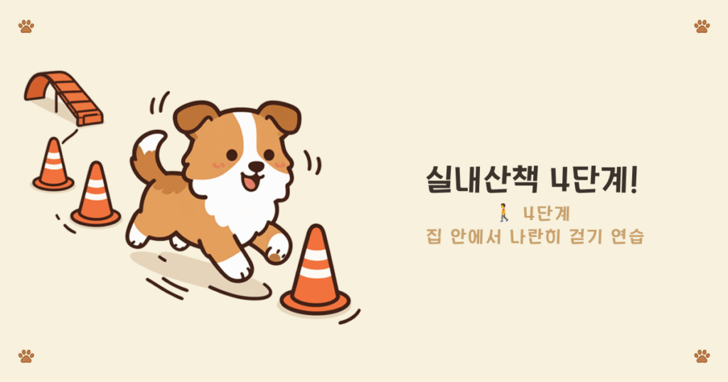 강아지 실내 걷기 연습 - 집 안에서 나란히 걷는 힐워크 기초 4단계