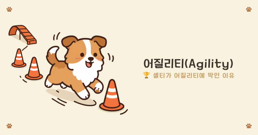 ๐พ ์ฐ๋ฆฌ๊ฐ ์ด์ง๋ฆฌํฐ์ ๋์ ํ๋ ค๋ ์ด์ (feat. ์ด์ง๋ฆฌํฐ์ ์ง์ฌ์ธ ๊ฒฌ์ข
, ์
ธํฐ) ์
ธํฐ ์ด์ง๋ฆฌํฐ - ๋ฏผ์ฒฉํ๊ณ ๋๋ํ ์
ํ๋๋ ์ฝ๋
์ด ์ด์ง๋ฆฌํฐ์ ๊ฐํ ์ด์