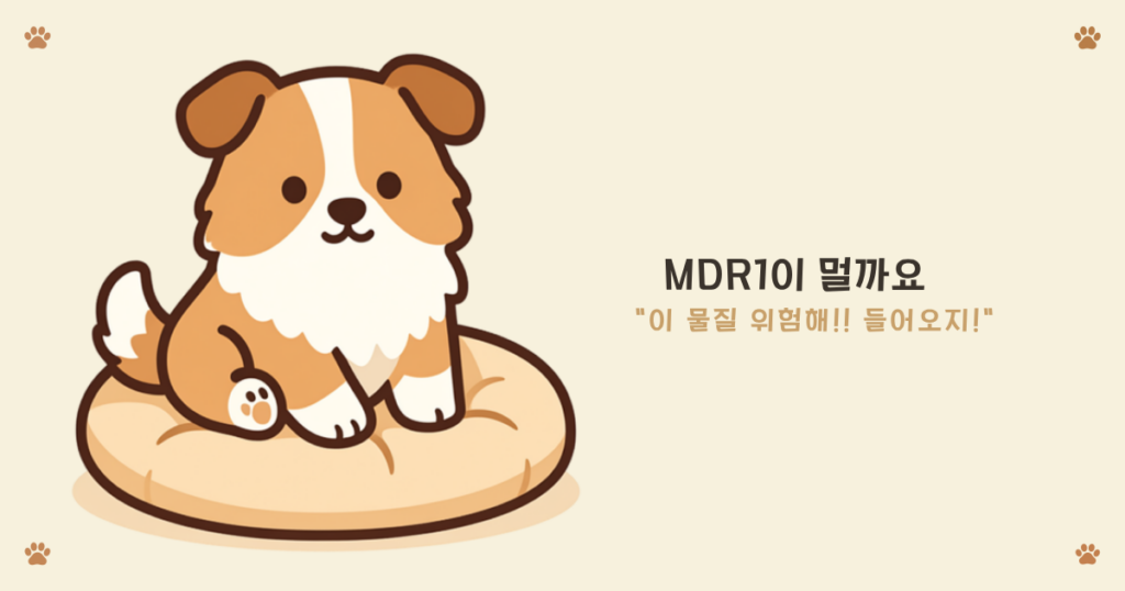 MDR1 유전자 - 뇌로 가는 약물을 막는 문지기 역할을 하는 ABCB1 유전자