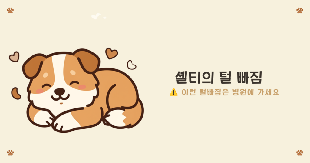 ๐พ ์
ธํฐ ํค์ฐ๊ธฐ ์ ๊ผญ ์์์ผ ํ 'ํธ๊ณผ์ ์ ์' ๊ฐ์์ง ์ด์ ํธ๋น ์ง - ๋ณ์ ์ง๋ฃ๊ฐ ํ์ํ ํ๋ชจ์ ํผ๋ถ ์ฆ์