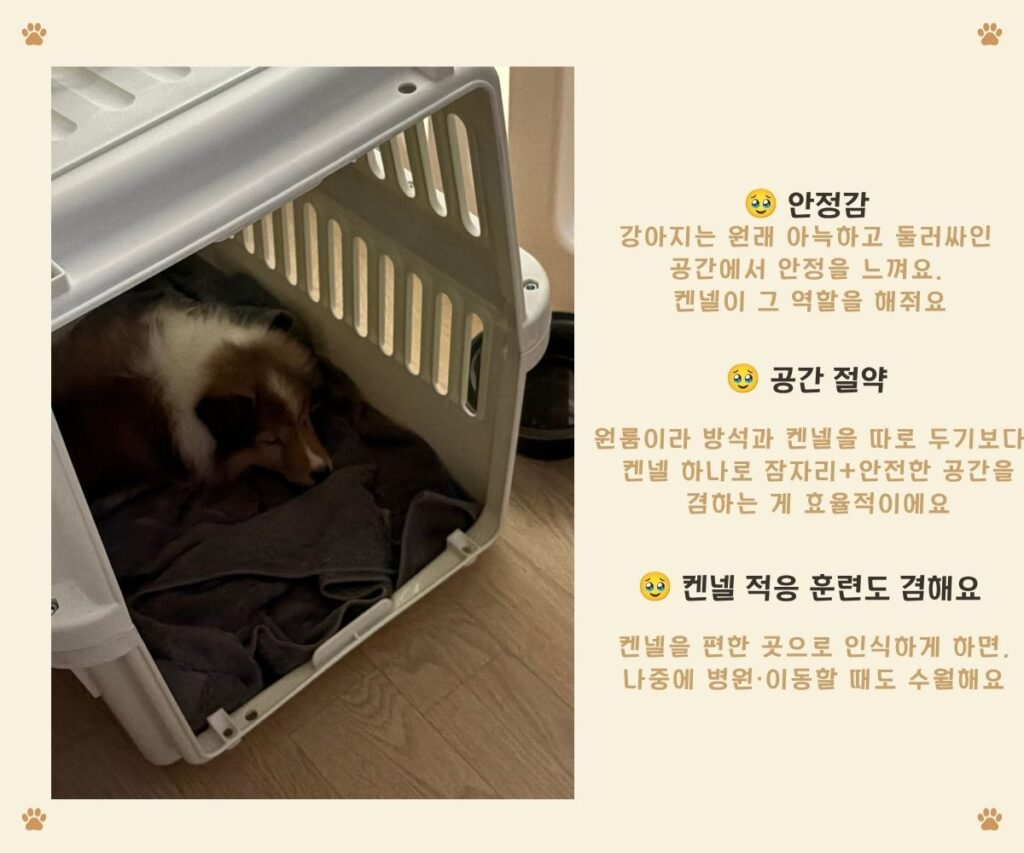 강아지 켄넬 - 퍼피의 안전한 공간이 되어줄 켄넬 준비