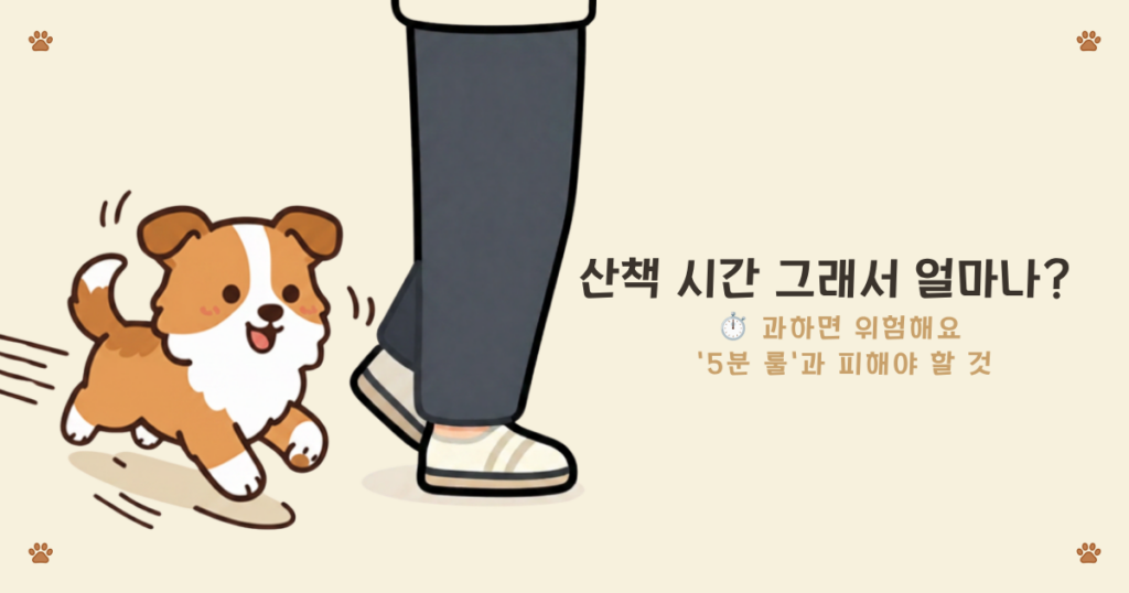 강아지 5분 룰 - 월령에 맞춰 산책 시간을 조절하는 퍼피 운동 기준
