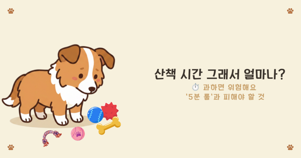 강아지 운동 부족 - 에너지를 못 풀어 문제행동으로 이어지는 퍼피