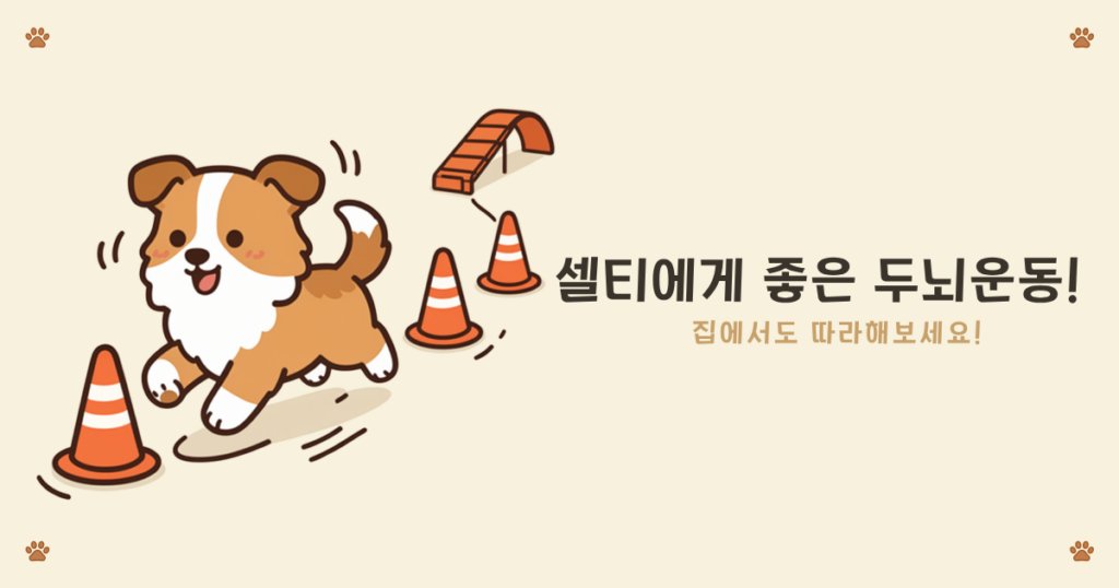 셸티 두뇌 놀이 - 머리 쓰는 놀이가 필요한 똑똑한 셔틀랜드 쉽독