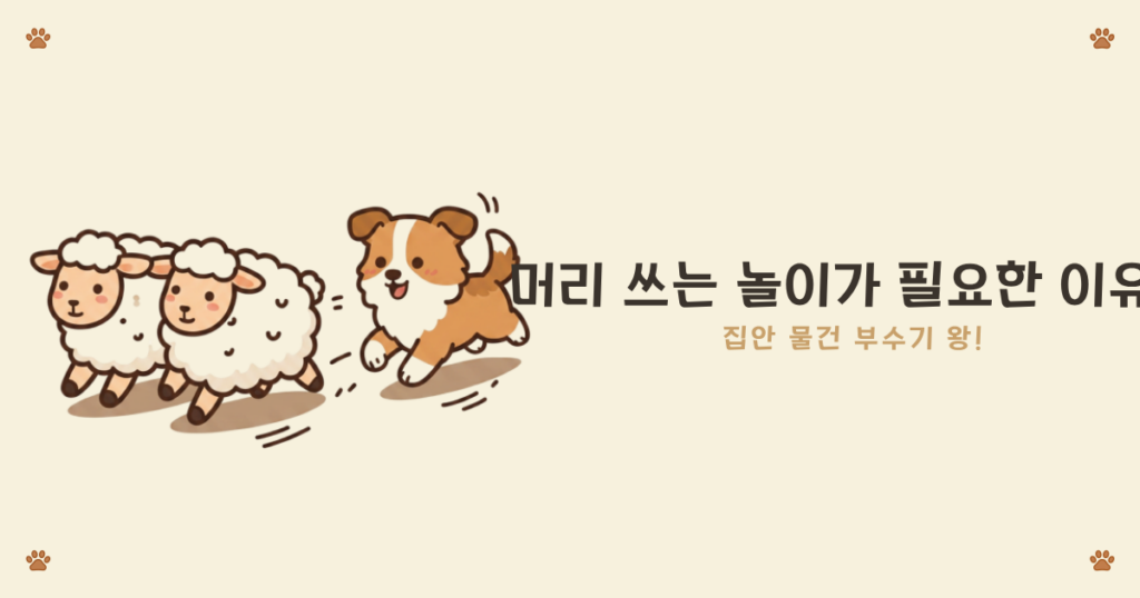 강아지 운동 부족 - 에너지를 못 풀어 문제행동으로 이어지는 퍼피