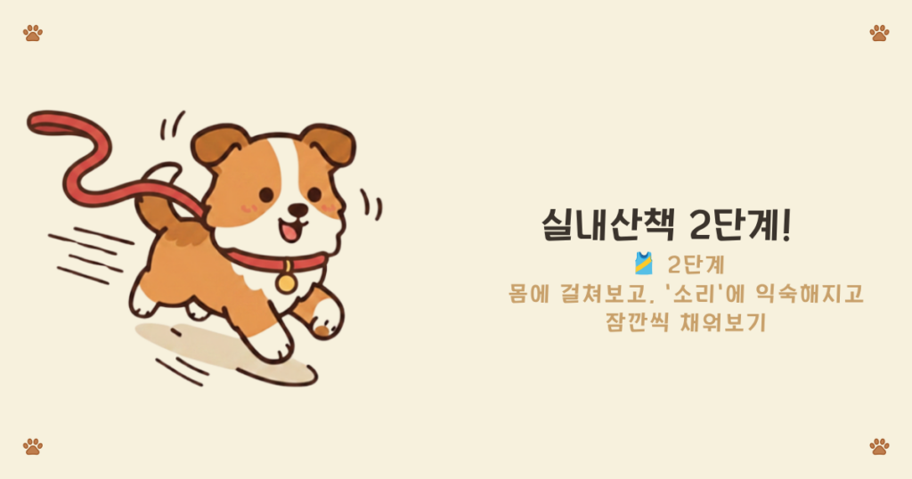 강아지 목줄 착용 연습 - 몸에 얹고 소리에 익숙해지는 적응 2단계