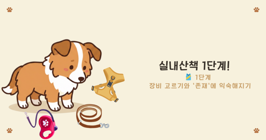 강아지 목줄 하네스 - 장비를 보여주고 냄새 맡게 하는 적응 1단계