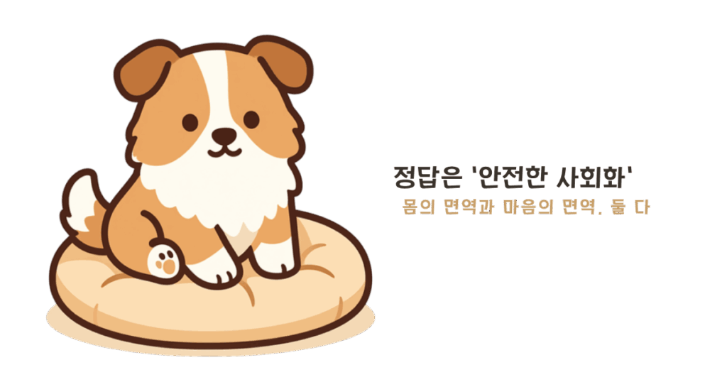 강아지 사회화 전문가 의견 - 접종과 사회화 균형에 대한 수의 행동학 권고