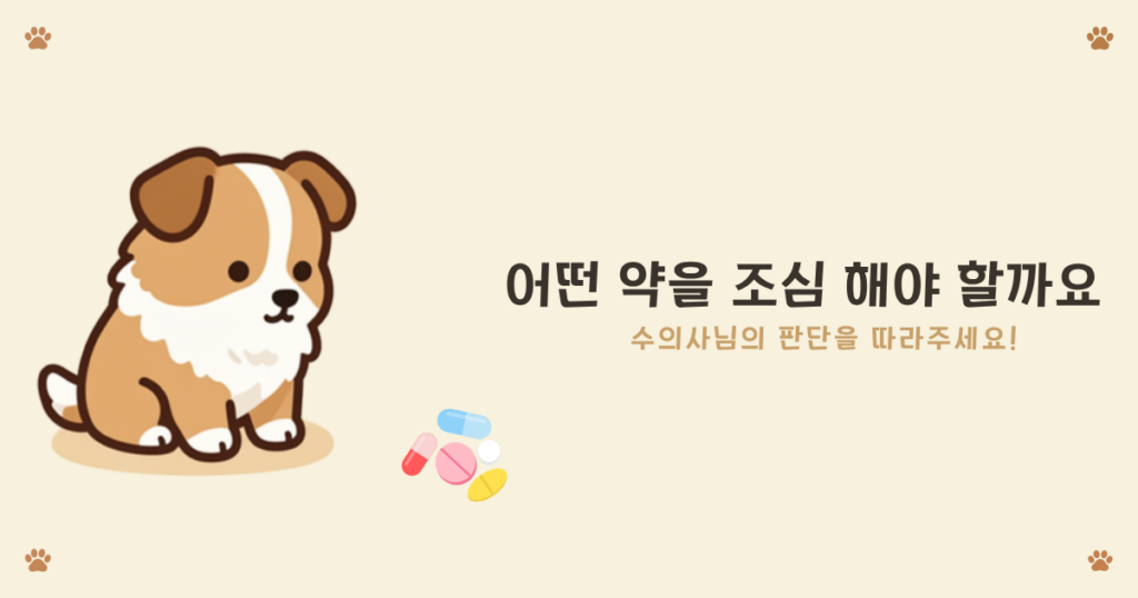 MDR1 위험 약물 - 이버멕틴 로페라마이드 등 셸티에게 주의할 약물 목록
