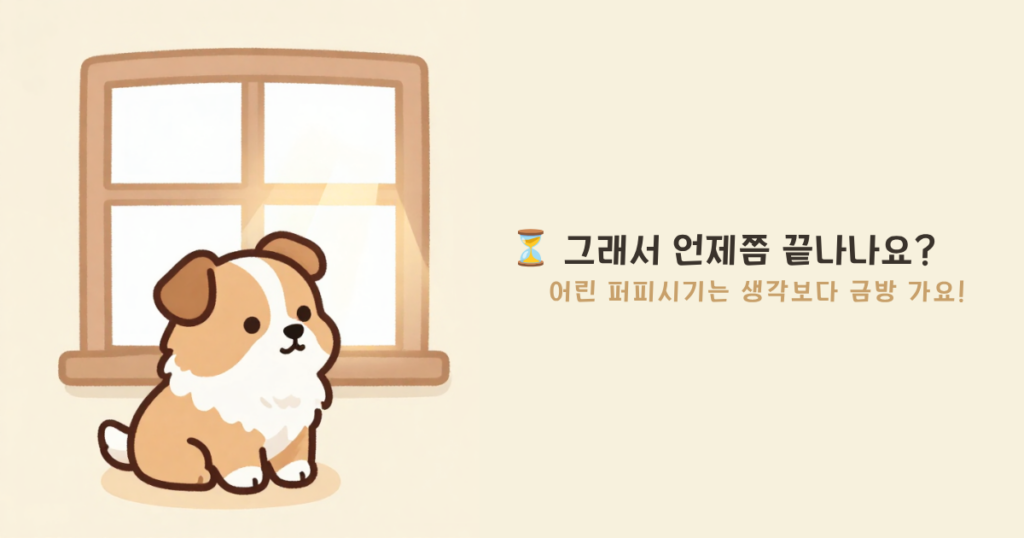 강아지 입질 시기 - 이갈이가 끝나며 입질이 줄어드는 시점