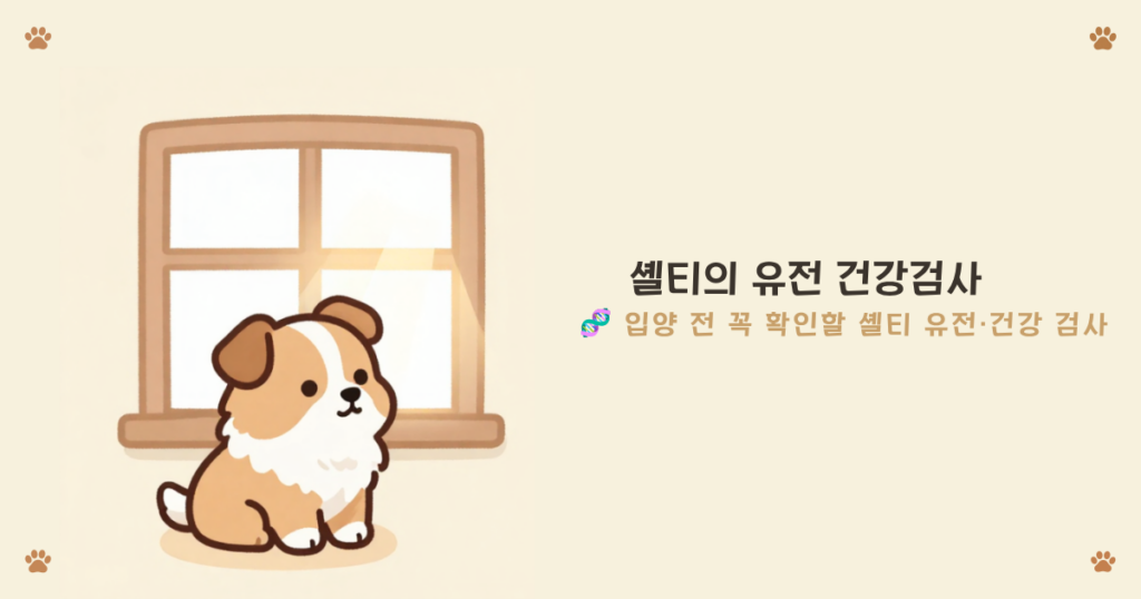 셸티 유전 건강 검사 - MDR1 CEA 등 입양 전 확인할 셔틀랜드 쉽독 검사