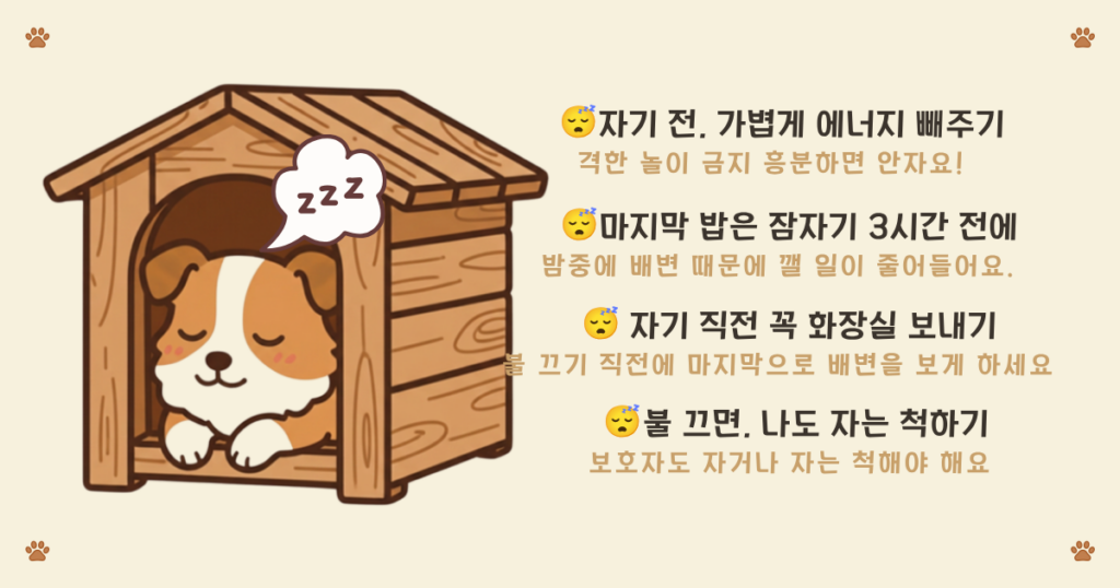 강아지 잠자리 루틴 - 퍼피가 편안하게 잠드는 수면 루틴