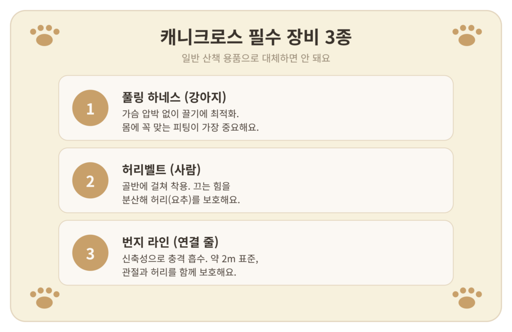 캐니크로스 장비 - 하네스 벨트 번지라인 등 필수 장비 3종