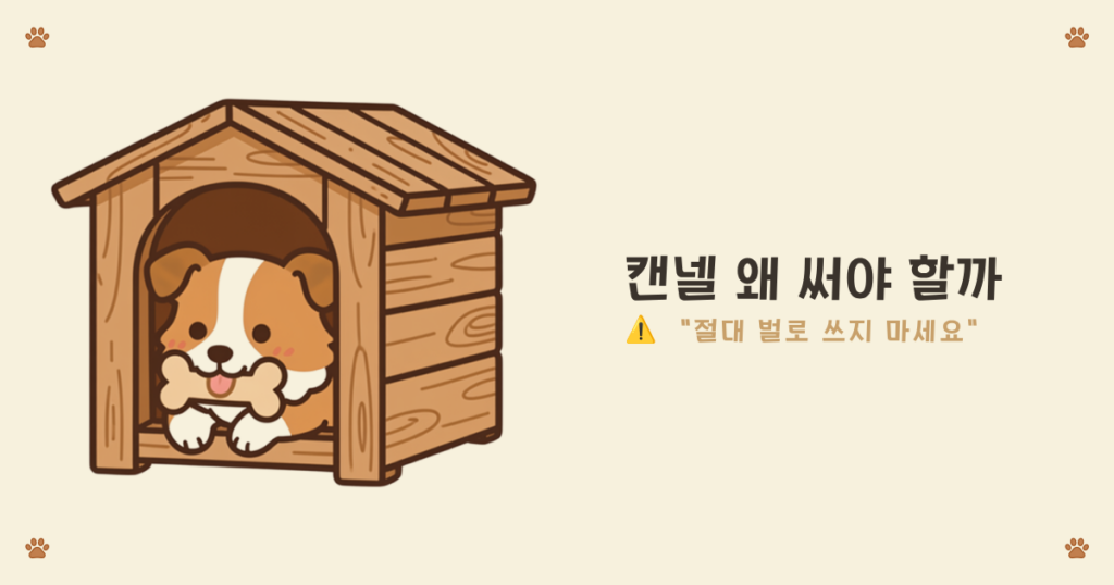 켄넬 훈련 주의사항 - 벌로 쓰면 안 되는 강아지 켄넬 황금률