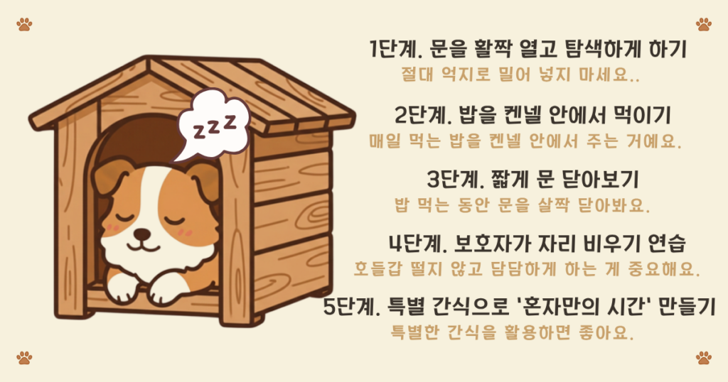 켄넬 적응 훈련법 - 간식으로 단계별로 켄넬에 적응시키는 방법