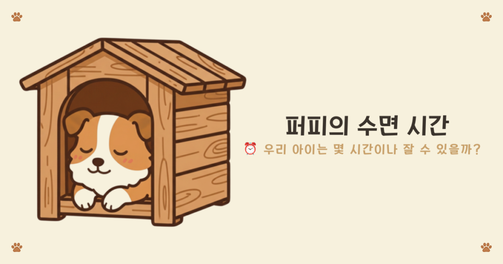 강아지 수면 시간 - 월령별로 퍼피가 밤에 잘 수 있는 시간