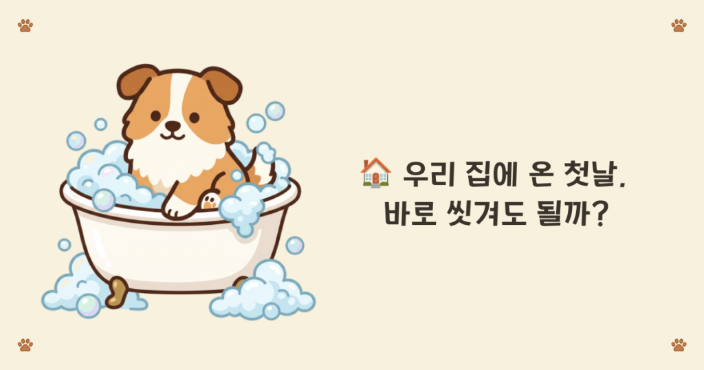 ๐พ ๊ฐ์์ง ๋ฐํฑยท๋ชฉ์ยท๋ฏธ์ฉ ์ด๋๊น์ง ํด์ผ ํ ๊น 13