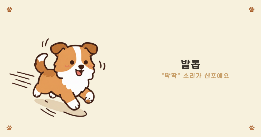 ๐พ ๊ฐ์์ง ๋ฐํฑยท๋ชฉ์ยท๋ฏธ์ฉ ์ด๋๊น์ง ํด์ผ ํ ๊น 15
