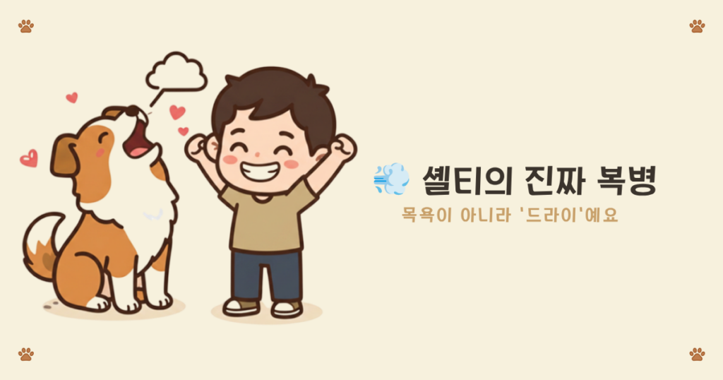 ๐พ ๊ฐ์์ง ๋ฐํฑยท๋ชฉ์ยท๋ฏธ์ฉ ์ด๋๊น์ง ํด์ผ ํ ๊น 19