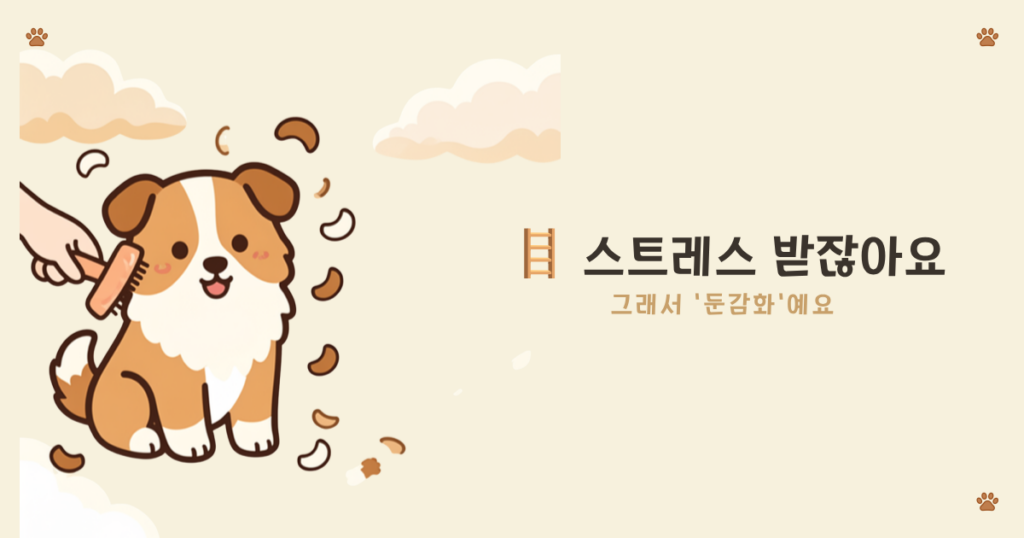 ๐พ ๊ฐ์์ง ๋ฐํฑยท๋ชฉ์ยท๋ฏธ์ฉ ์ด๋๊น์ง ํด์ผ ํ ๊น 20