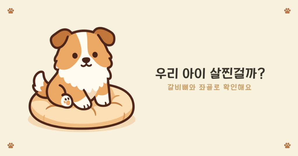 강아지 갈비뼈로 적정 체중 확인하는 법