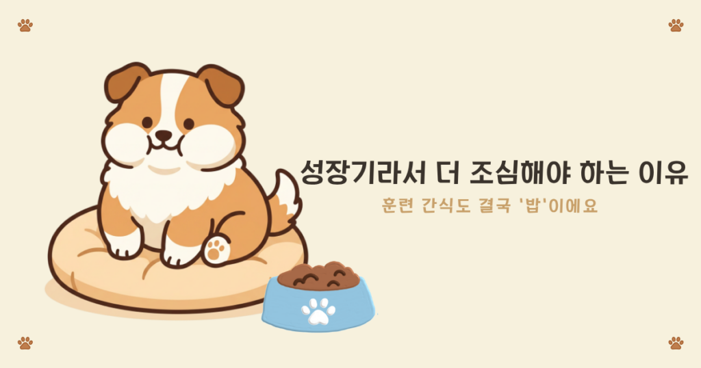 밥 먹는 셸티 강아지 지니 일러스트
