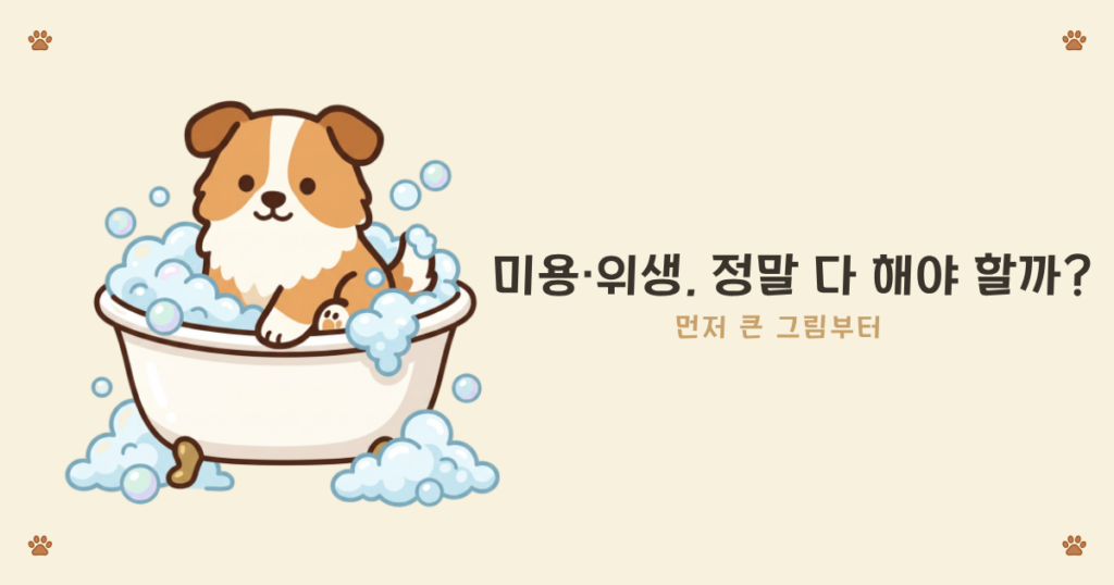 ๐พ ๊ฐ์์ง ๋ฐํฑยท๋ชฉ์ยท๋ฏธ์ฉ ์ด๋๊น์ง ํด์ผ ํ ๊น create a cute cartoon character illustration (not a photo, not realistic) of a sable shetland sheepdog (sheltie) puppy. character (keep consistent every time) big round dark eyes, oversized roun (29)
