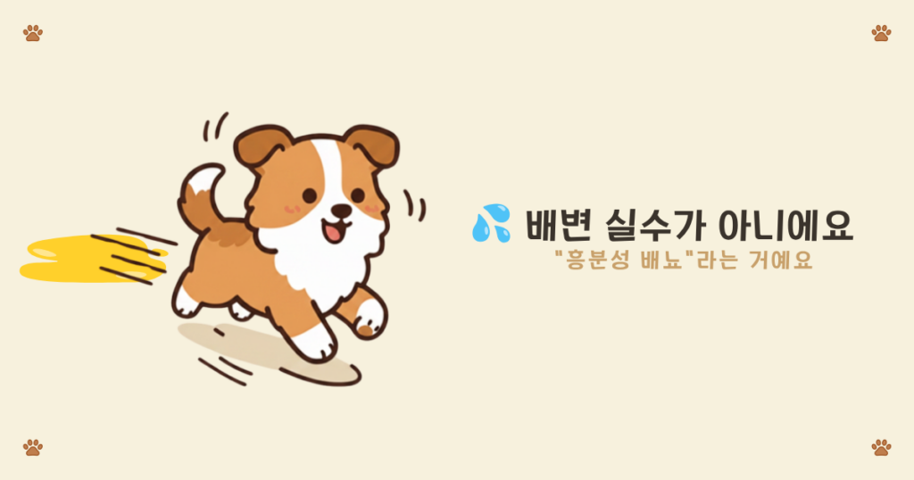 흥분하면 괄약근이 풀려 오줌이 새는 과정