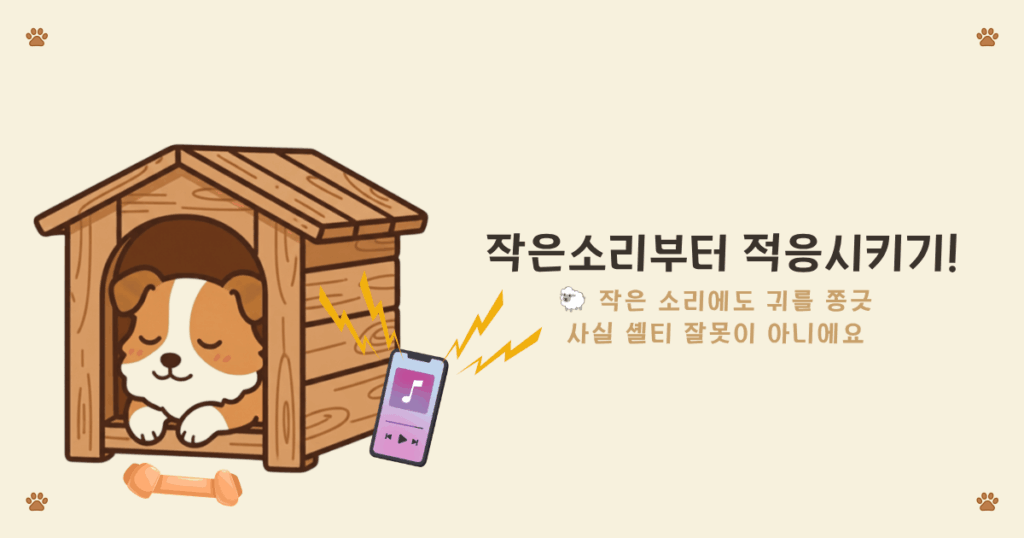 셸티 소리 예민 이유 - 양몰이 본능으로 소리에 민감한 셔틀랜드 쉽독