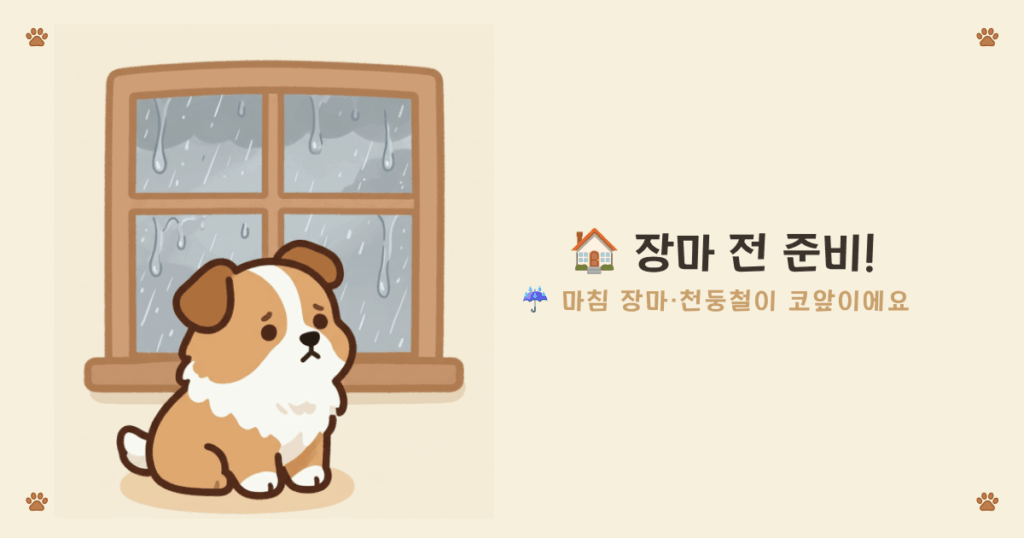 강아지 천둥 소리 적응 - 장마철 천둥과 빗소리에 미리 대비하는 둔감화